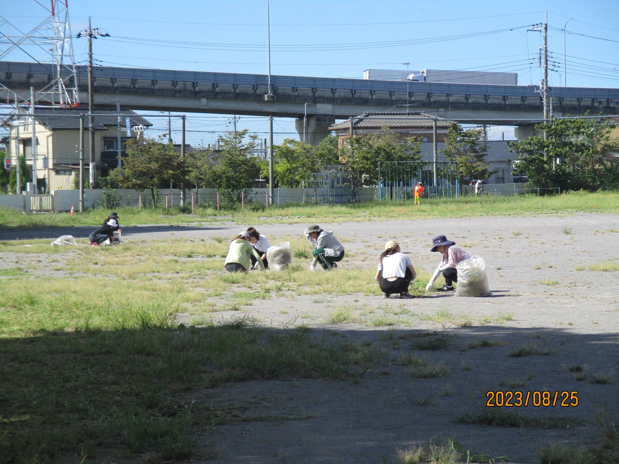 R5 夏休み草取り
