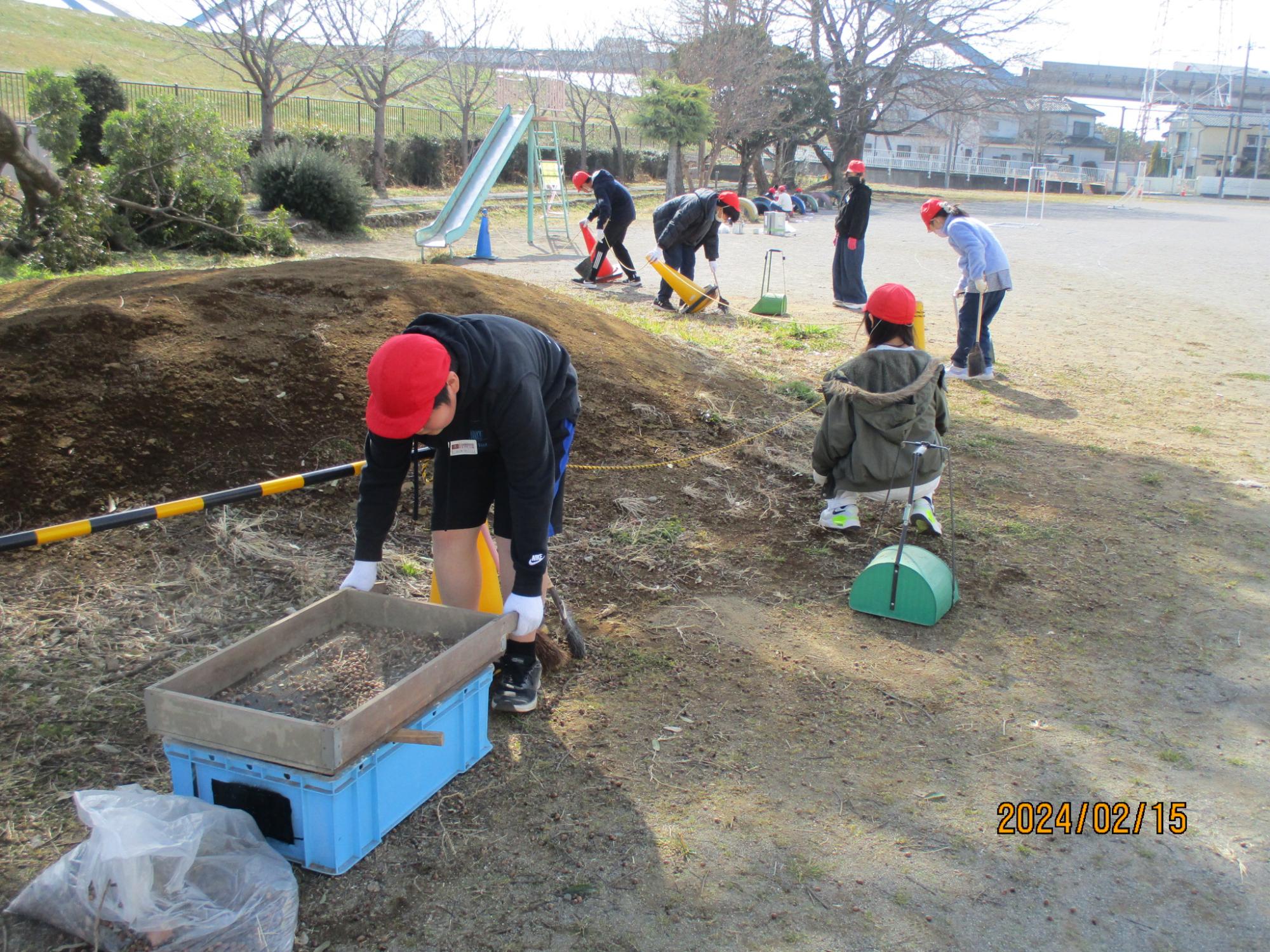 R6 6年奉仕作業3