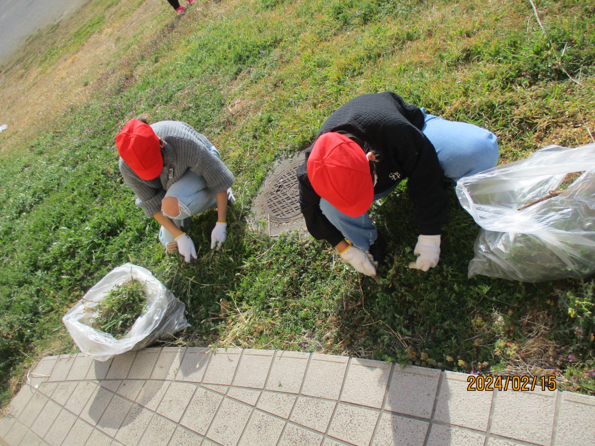 R6 6年奉仕作業5