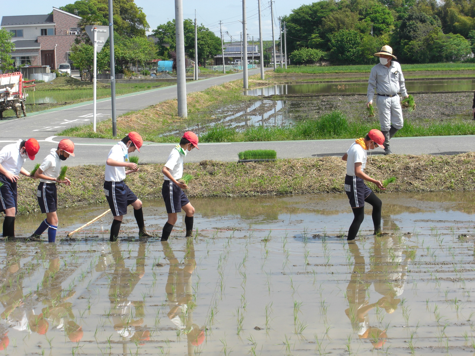 5年生田植え