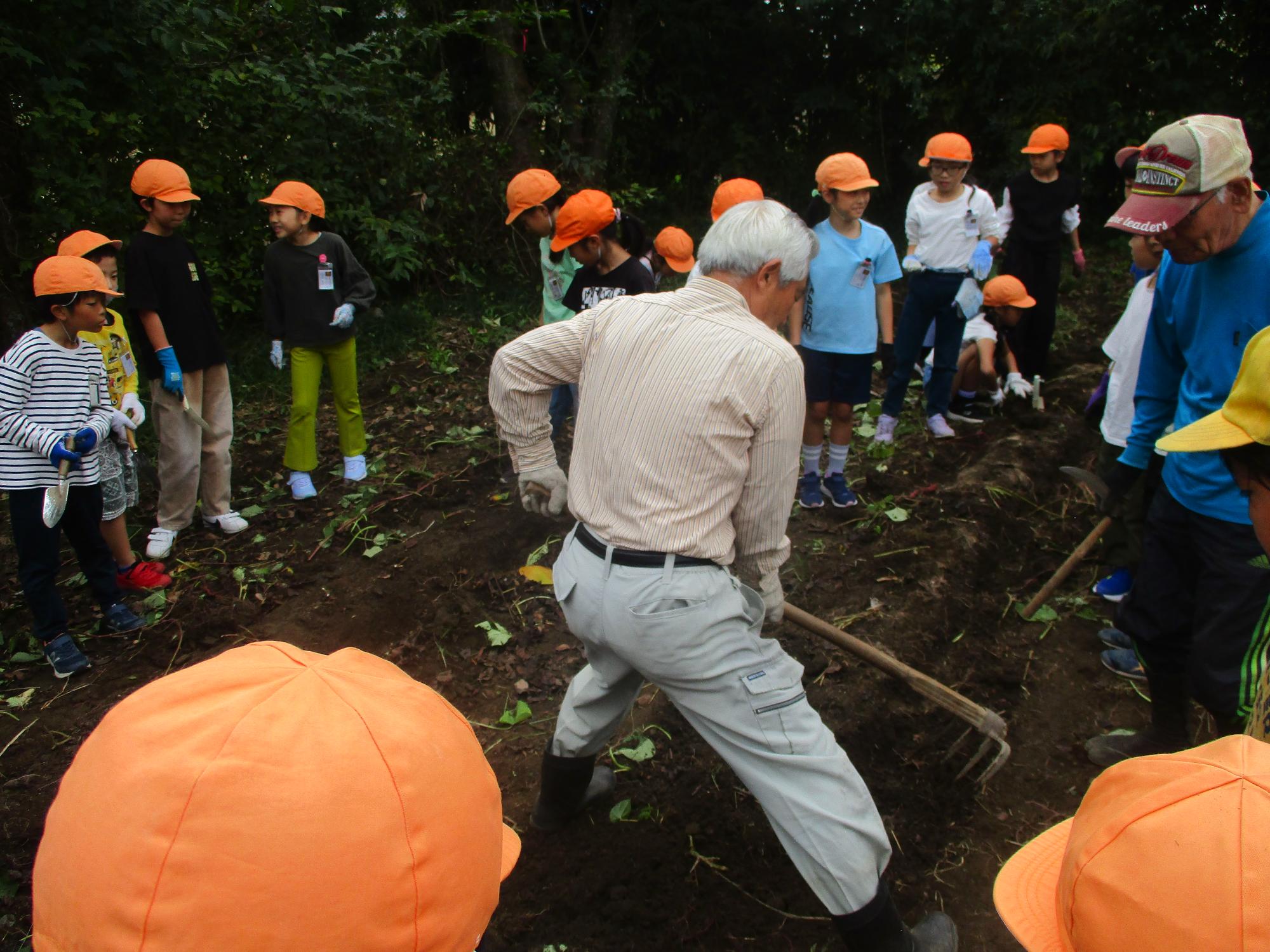 satuma3