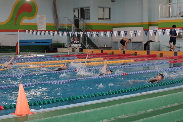 swim