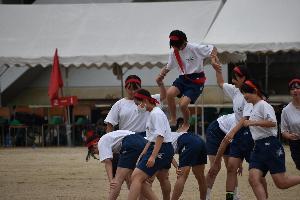 因幡のウサギのようす