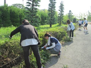 除草作業